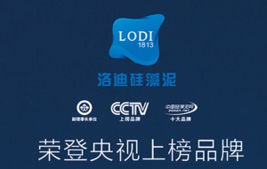 公司介绍
